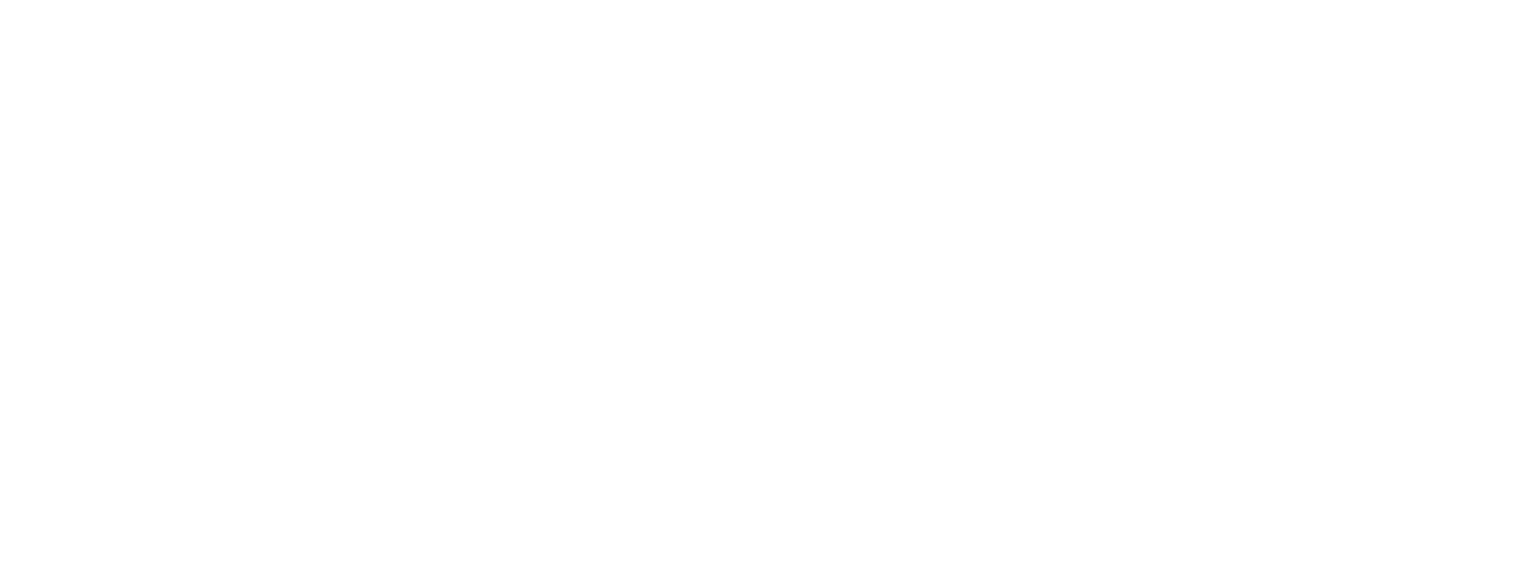 wins white logo